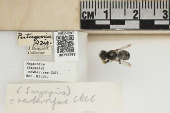 Media type: image;   Entomology 793797 Aspect: Labels